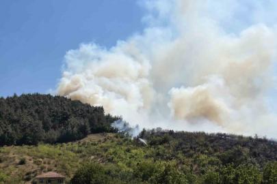 Balıkesir’de otluk alanda başlayan yangın ormana sıçradı