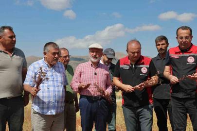 Başkan Çolakbayrakdar: "Kocasinan’ı arıcılıkta merkeze dönüştüreceğiz, şehre yeni bir tarım ürünü kazandıracağız"