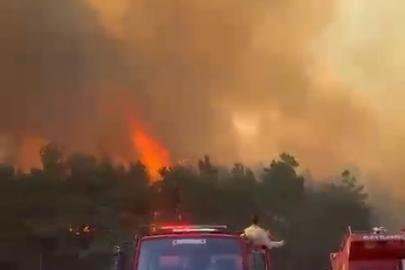 Bayramiç’te orman yangını