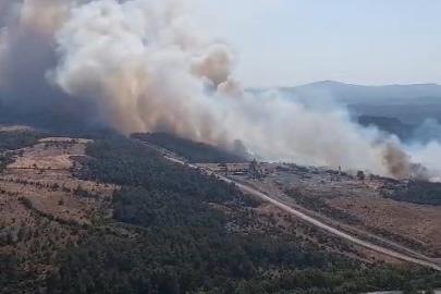 Bayramiç’te orman yangını helikopterden görüntülendi