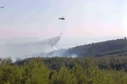 Bayramiç’teki orman yangını büyük ölçüde kontrol altında