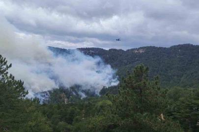 Beşkonak’ta orman yangını: Havadan ve karadan müdahale ediliyor