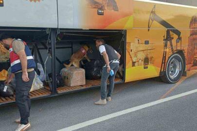 Bilecik’te 669 kişi sorgulandı: 1 kişi hakkında işlem başlatıldı