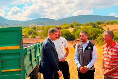 Bilecik’te ayçiçeği ekimi 3 yılda 11 bin 700 dekar arttı