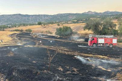 Bilecik’te biçilmiş buğday tarlasında yangın çıktı