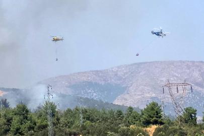 Bilecik’te ormanlık alanda yangın başladı