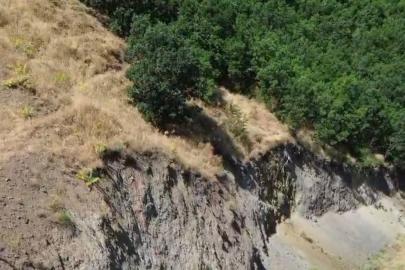 Bingöl’de nesli tükenme tehlikesi altında dağ keçisi görüntülendi