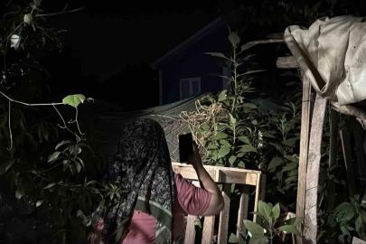 Bir tıkırtı yetiyor, herkes sokağa fırlıyor: Gece saatlerinde fenerlerle iz sürüyorlar