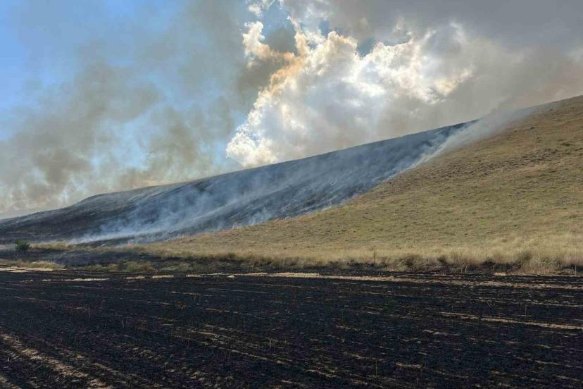 Bitlis’te örtü yangını: 400 dönüm alan küle döndü
