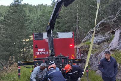 Bolu’da 50 metrelik uçuruma düşen inek vinçle kurtarıldı