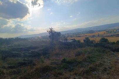 Bolu’da anız yangını ağaçlık alana sıçramadan söndürüldü