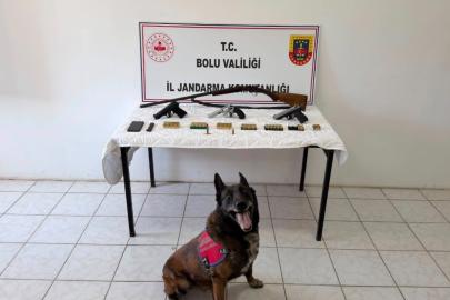 Bolu’da evinde silah ve mühimmat bulunan şüpheli tutuklandı