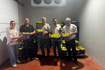 Buharkent’te incir bahçeleri ve alım noktalarında Fusarium denetimi