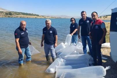 Burdur’da göl ve göletler yavru sazanlarla buluştu