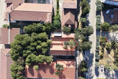 Bursa’da örnek okul projesi: 50 yıllık ağaçlar binanın içinde kaldı