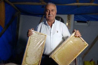 Çamoluk Bal Festivali’nde 1 milyon 400 bin liralık ağalık yarışı