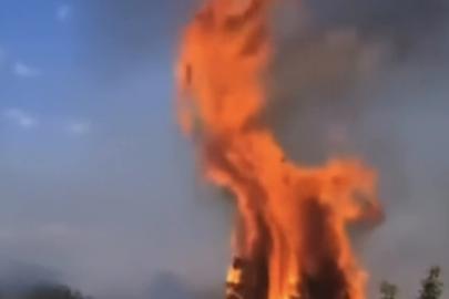 Çankırı’da örtü yangını ağaçlık alana sıçradı