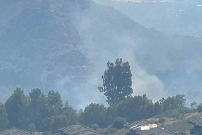 Dalaman’da orman yangını