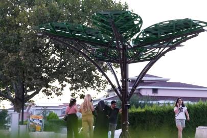 Denizli’de ’Solar Ağaç’ kent yaşamıyla buluştu
