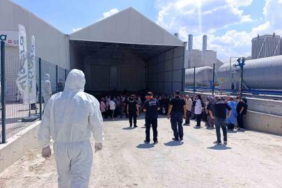 Domates serasında zehirlenme: 10 çalışan hastaneye kaldırıldı
