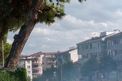 Düğün konvoyundan atılan havai fişek çam ağacını yaktı