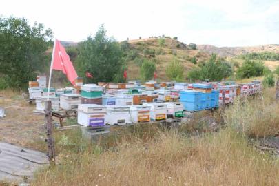 Erzincan’da arıcılık ve vatan sevgisi aynı arılıkta buluştu