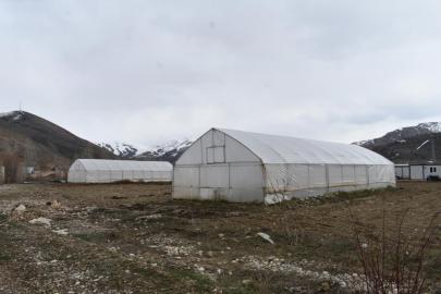 Erzincan’da sera örtüsü yenileme desteği başvuruları uzatıldı