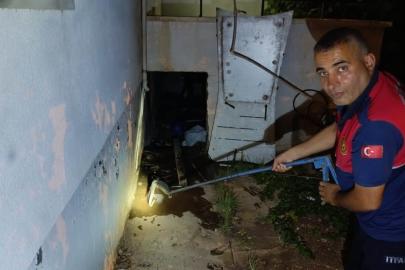 Evin deposuna giren yılan ekipleri harekete geçirdi