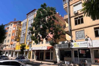 Fırtınanın devirdiği ağaç nedeniyle yol trafiğe kapatıldı