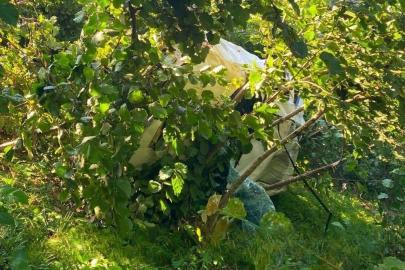 Giresun’da kamyonet fındık bahçesine devrildi: 1 ölü