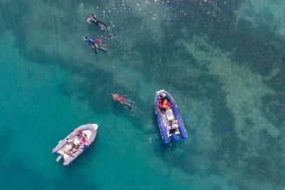 Gümbet’te deniz dibinden 310 kilogram atık çıktı