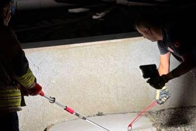 Hatay’da eve giren yılanları itfaiye yakaladı