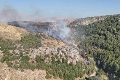Hatay’da orman yangını çıktı