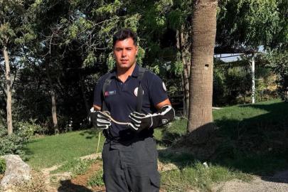 Hatay’da yerleşim alanlarına giren yılanları itfaiye yakaladı