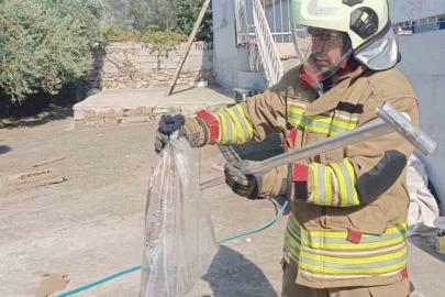 Hatay’da yerleşim alanlarında yakalanan yılanlar doğaya bırakıldı