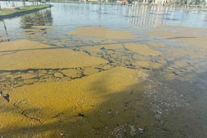 Iğdır Millet Bahçesi’ndeki süs havuzunda kirlilik tepki çekiyor
