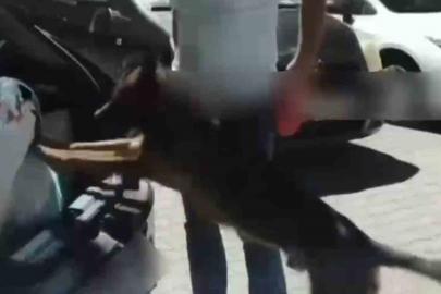 İstanbul’dan uyuşturucu sevkiyatı Sakarya’da durduruldu: 4 tutuklama