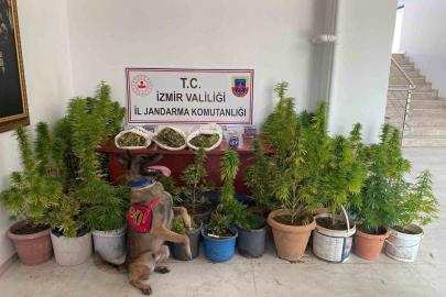 İzmir’de uyuşturucu operasyonu: 3 tutuklama