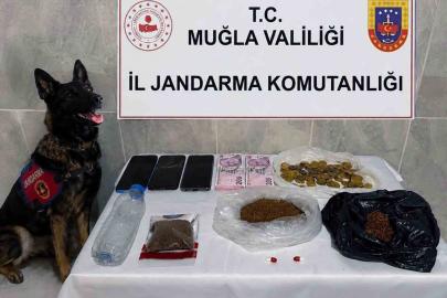 Jandarma KOM ekiplerinden Temmuz’da 24 operasyon