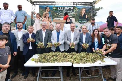 Kahramanmaraş’ın Karadeniz’i Kalekaya’da Fındık Festivali