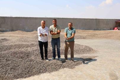 Kahramanmaraş’ta ay çekirdeği hasadı