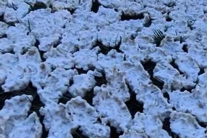 Kahramanmaraş’ta tarhana mesaisi