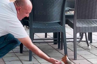 Kahvehaneye gelen sincabı elleriyle besledi