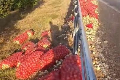 Kamyon devrildi, tonlarca soğan yola saçıldı: 2 yaralı
