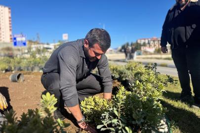 Karabük’te yeşil seferberlik: 58 bin ağaç ve çiçek toprakla buluştu