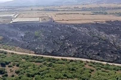 Karacabey’de makilik alandaki yangın fabrikaya ulaşmadan söndürüldü