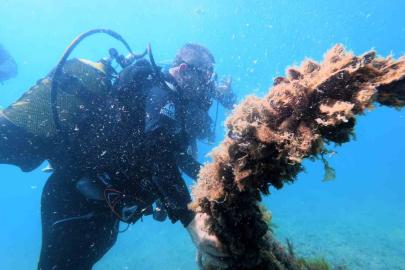 Karadeniz kıyılarındaki ilk su altı kazısında 2 bin 500 yıllık tarihe daldılar