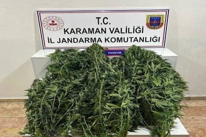 Karaman’da jandarmanın yakaladığı 44 şahıstan 9’u tutuklandı