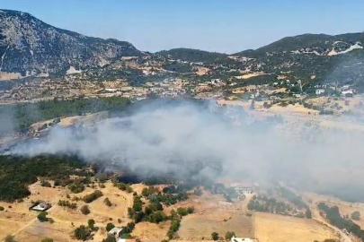 Kaş’ta çıkan ormanlık alan yangını 2,5 saatte kontrol altına alındı