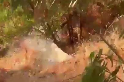 Kaş’ta denize atık su karışmasına 839 bin lira ceza
